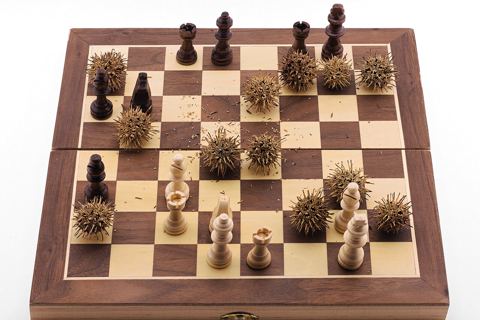 Шахматная доска с расставленными фигурами